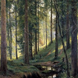 Stream by a forest slope